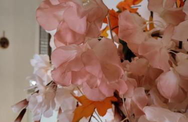 La Maison De Rose - Foto 22