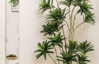 Your Penthouse - Foto 27