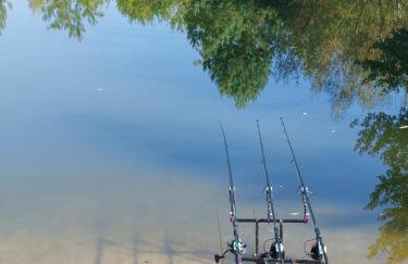 Agroturystyka Leśna Malinka - Foto 12