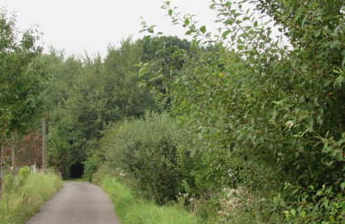 Ferienwohnung "Eifelstueffje" - Foto 68