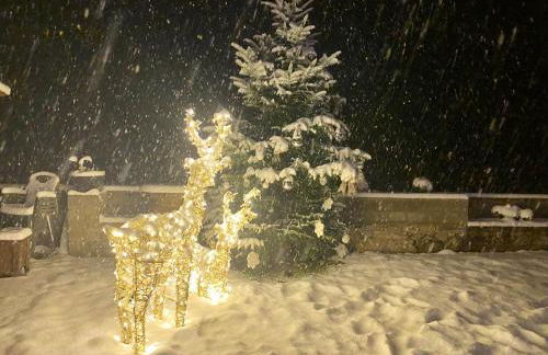 Apartaments Alta Muntanya - Foto 77