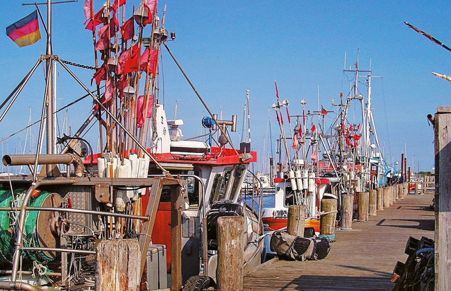 6 Personen Ferienhaus in Wendtorf - Foto 9