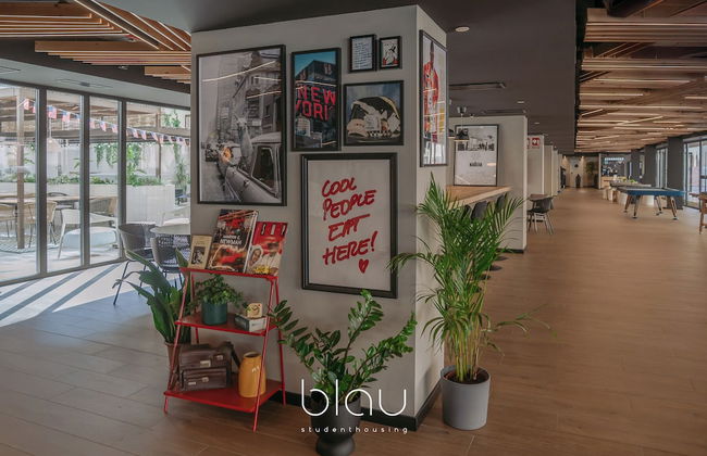 BLAU Student Housing & Language Academy - Foto 42