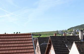 Altes Winzerhaus Stegmann - Foto 52