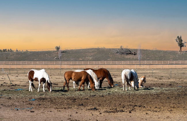 Clint by Avantstay Located Within The Brasada Ranch Community Golf Course, Pool & Hot Tub - Foto 39