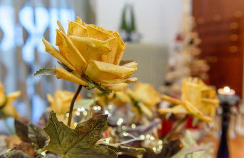 Joanna's city centre apartment - Photo 6