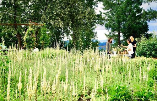 St Helena - Blair Spangler Design Group - Foto 20