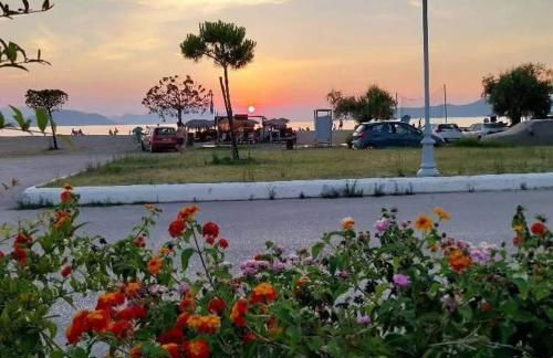 Apartments Papadioti - Foto 37