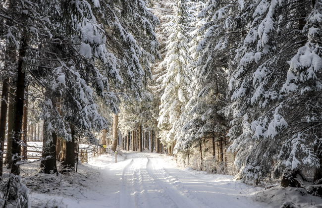 Schönhart - Foto 20