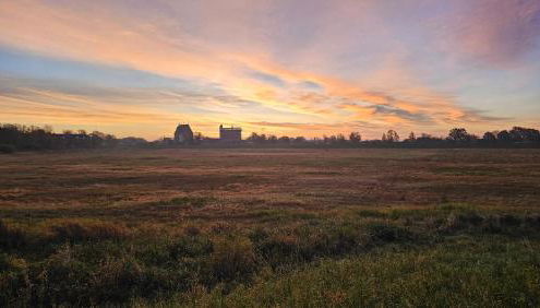 Zur Zitadelle - Photo 5