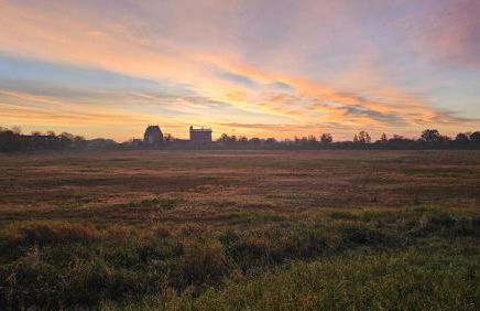 Zur Zitadelle - Foto 5