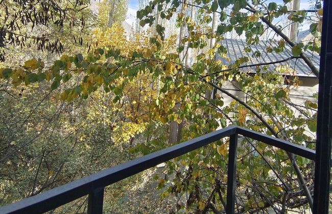 Zihin With Forest View - Cloud Nine And a Half - Photo 10