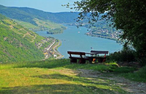 Roosartige Ferien - Ferienwohnung im Hanswieschen - Oberwesel Bacharach - Foto 34
