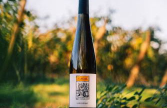 Wine Tourism - Quinta do Ameal - Foto 41