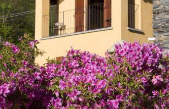 VIOLINA casa vacanze - Photo 17