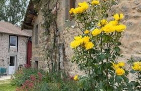 gîte Walden 4-6 personnes - Photo 8