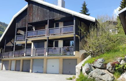 Le Skidoux - Photo 2