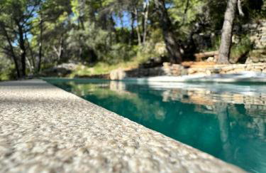 Pine Haven Retreat - Foto 20