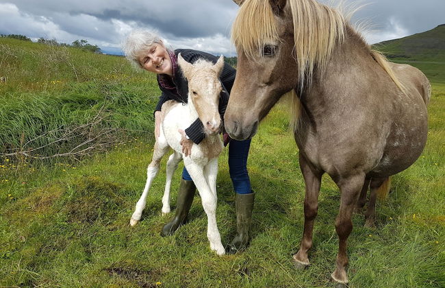 Vorsabær 2 Holiday Home - Foto 20