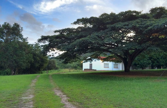 Near2Numbi - Foto 69