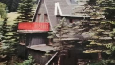 Waldhaus, Ski- und Wanderhütte - Foto 3, Garden view