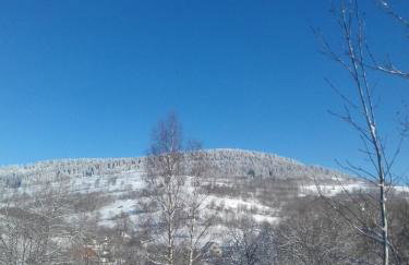 Dziki domek - Foto 27