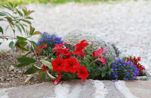 Agriturismo Al Franet - Photo 68