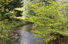 Ferienwohnung am Eifelsteig - Foto 41