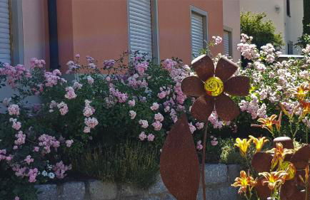 Ferienwohnungen Renner - Foto 6