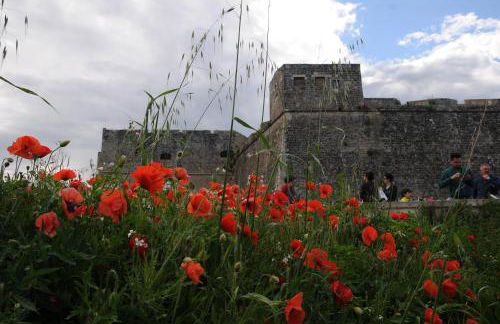 Appartamenti porta mare - Foto 70