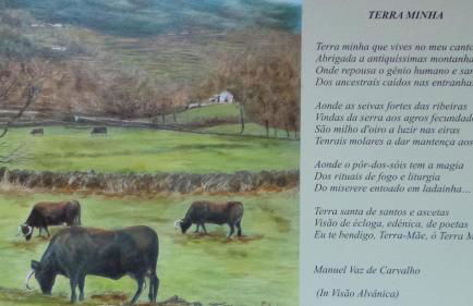 Casa do Tapadinho - Foto 37