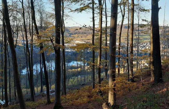 Geraumige Ferienwohnung im Sauerland - Foto 37