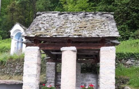 Verde Bosco - Photo 18