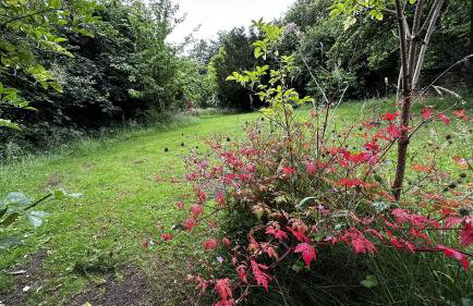 The Smithy - Foto 31