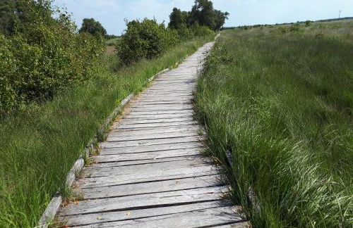Preisbewusste Ferienwohnung für 2 Personen u. Kleinkind - Photo 28
