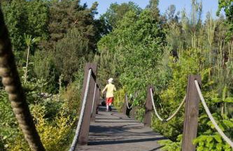 Sowi Dworek - Foto 36