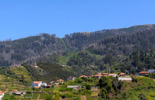 Recanto das Florenças (2) - Photo 72