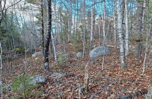 Unplug nd Reconnect in Peceful Off-Grid Cbin for Relxtion nd Nture Immersion in Beddington, Mine - Foto 18