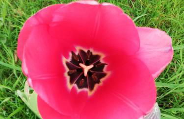 Ediths Haus - Foto 61