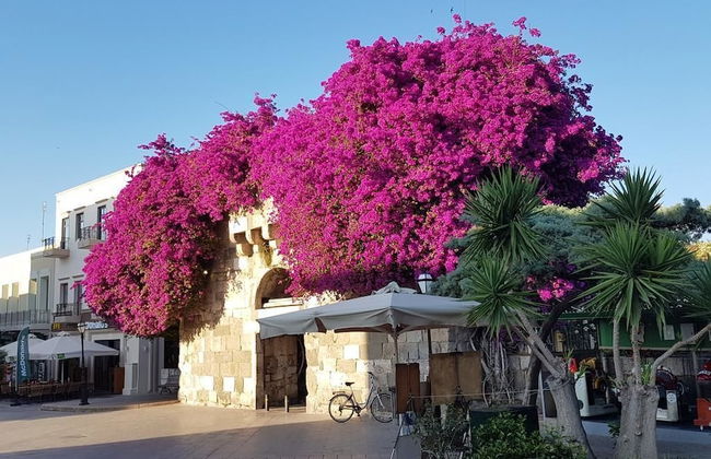 Aspa Holiday Apartments - Photo 22