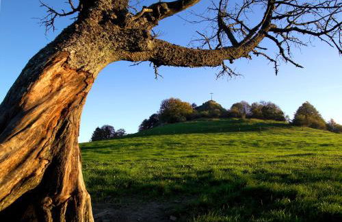 Ferienwohnung Elena - Foto 37