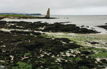 Apartamento Saudade - Foto 20