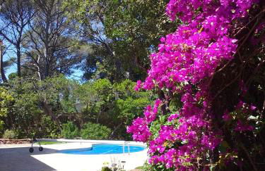 Appartement dans Villa St Raphael - Foto 2