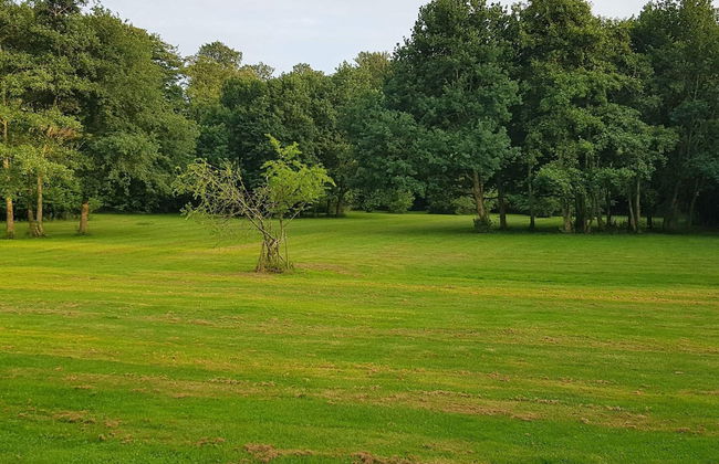 6 Person Holiday Home in Praesto-by Traum - Foto 5