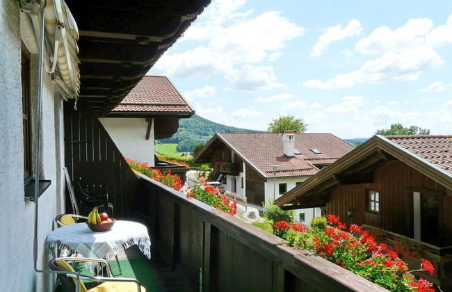 Hauzenberg App. 303 - Photo 23