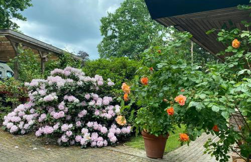 Saunahäuschen - Foto 15