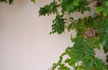 La casa al mare - Foto 34