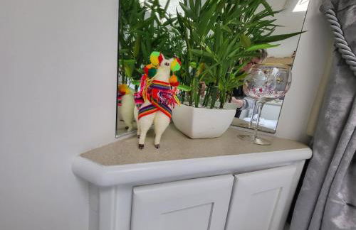 Glamping With Llamas - Foto 80