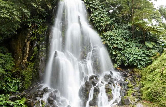 Nordeste Tour & Faial da Terra Hiking Tour - Foto 5