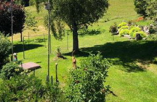 Haus Jurisch - Foto 7